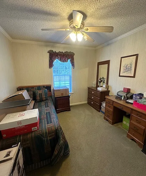29 Mike Dr — Photo 36