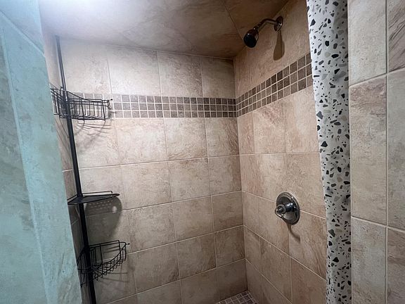Downstairs Basement Shower