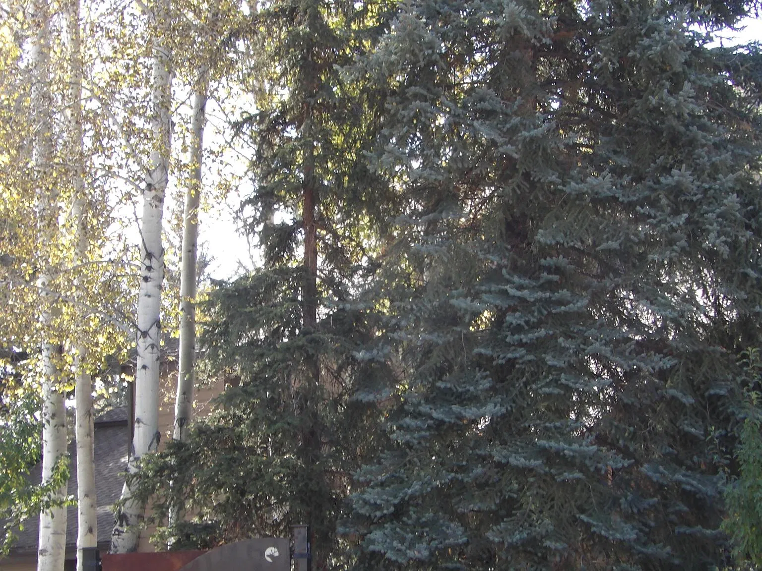 1 bed, 745 sqft, $2,400 — Photo 2