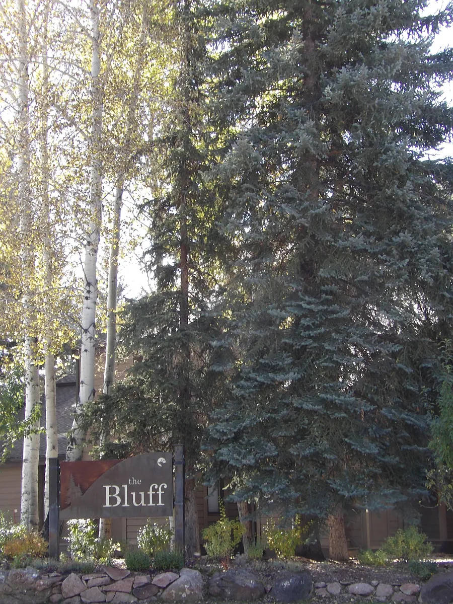 Building Photo - 4107 Bluff Condo Dr