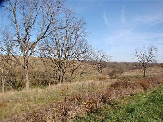 2nd image of 8A County Road Y