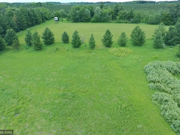 Hummingbird Rd, Braham, MN 55006