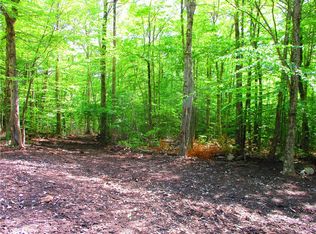 0 Case Hill Rd #30, Treadwell, NY 13846