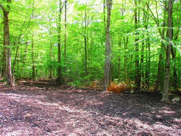 0 Case Hill Rd #30, Treadwell, NY 13846