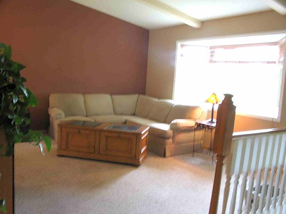 Vaulted living room