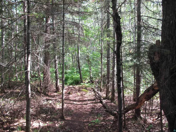 2XX Cougar Trl, Grand Marais, MN 55604
