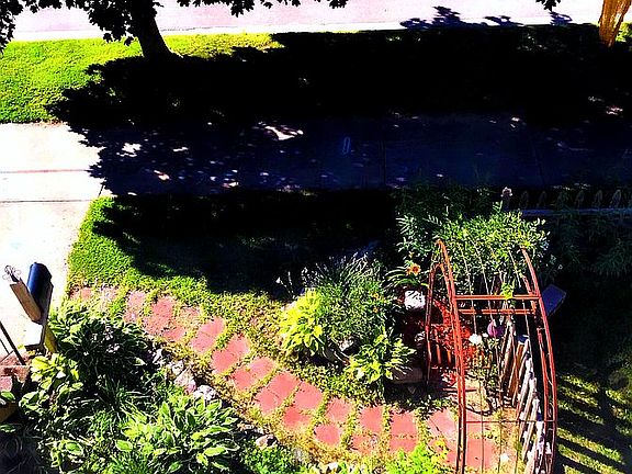 Arbor w/ wisteria vine