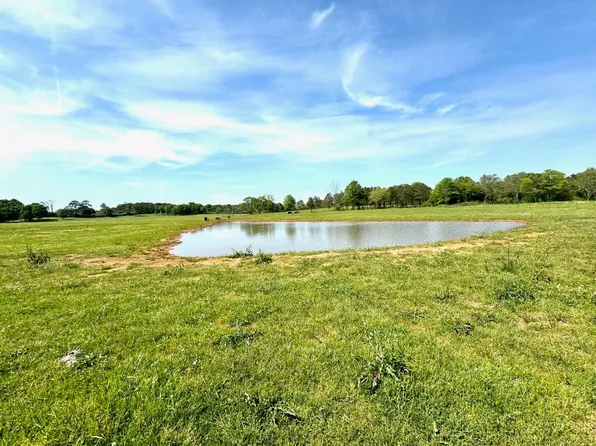 Honoraville Rd, Greenville, AL 36037