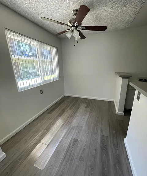 Lisa Manor — Photo 12