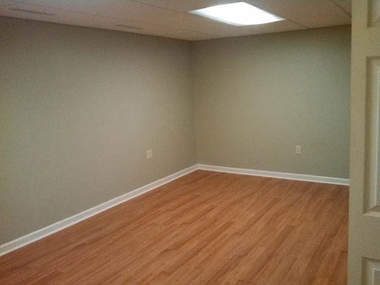Downstairs den