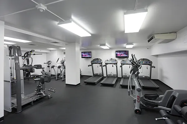 Rented by Manhattan Skyline | media 6
