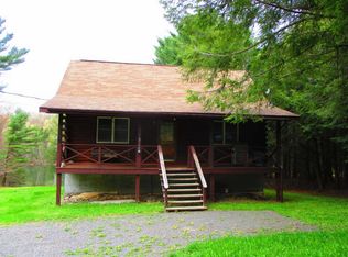 164 Sparrowhawk Lake Rd, Schenevus, NY 12155