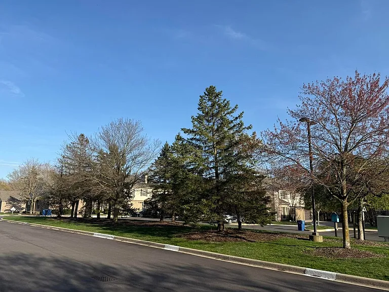 3025 Forest Creek Ct — Photo 17
