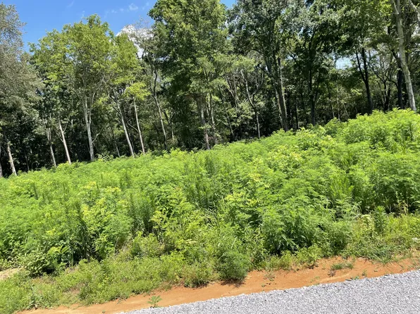 0 Hidden Hills Ln Lot 19A, Summertown, TN 38483