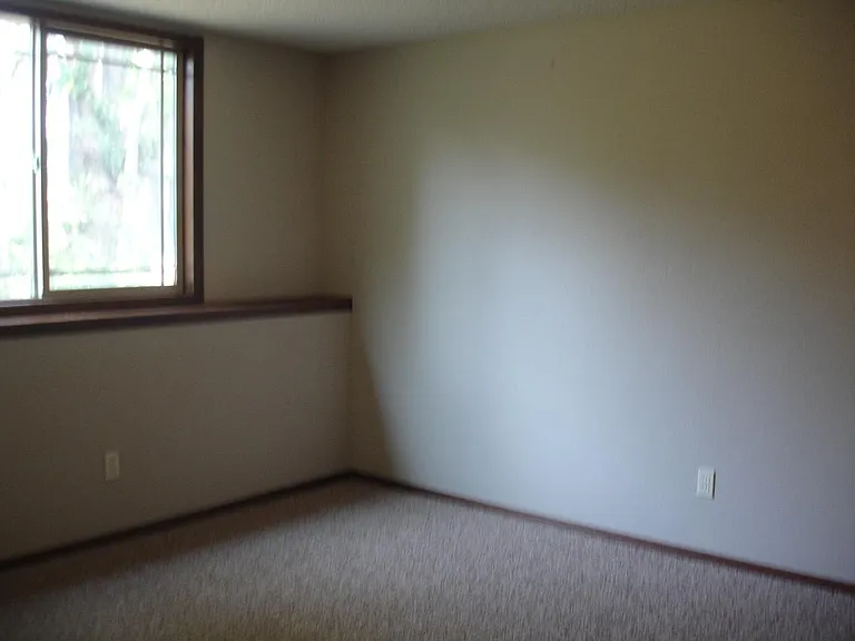 513 E Minneha Ave — Photo 10