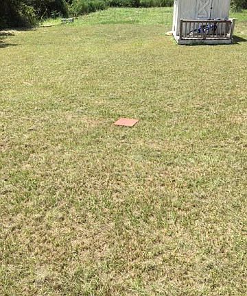 3rd image of 224 Clearmont Dr