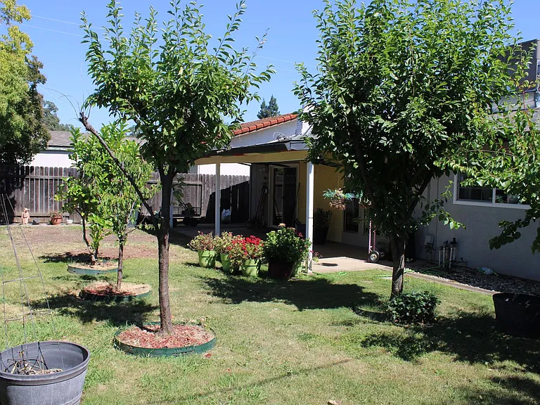 1513 Dana Way — Photo 17