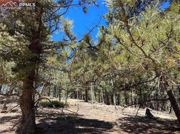 121 Lake Dr, Divide, CO 80814