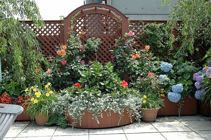 Garden West Side