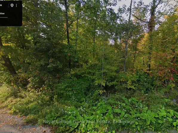 0 Northern Ave, Trent Lakes, ON K0M 1A0