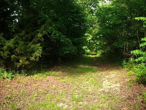 11330001_486711424817502_428269276443550