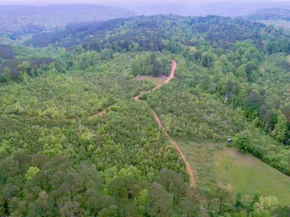 Blue Water Rd, Oakman, AL 35579