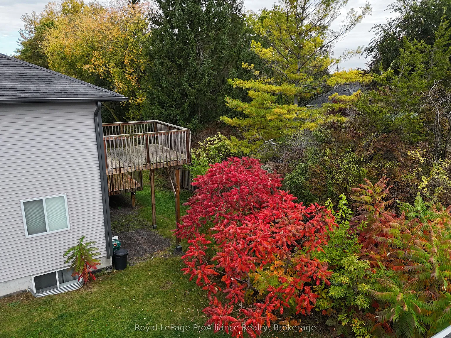 3 bed, $2,490 — Photo 3