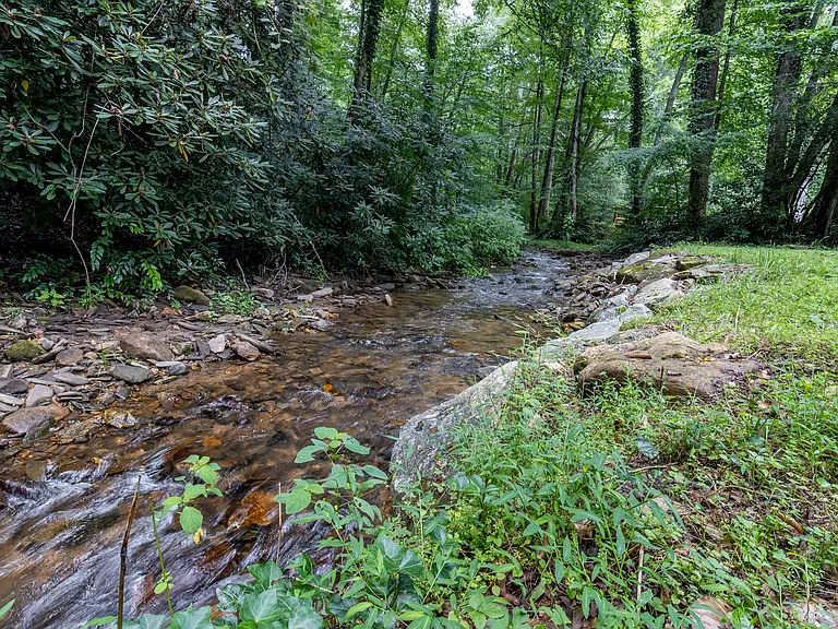 Kings Creek Running Along Back Property Line