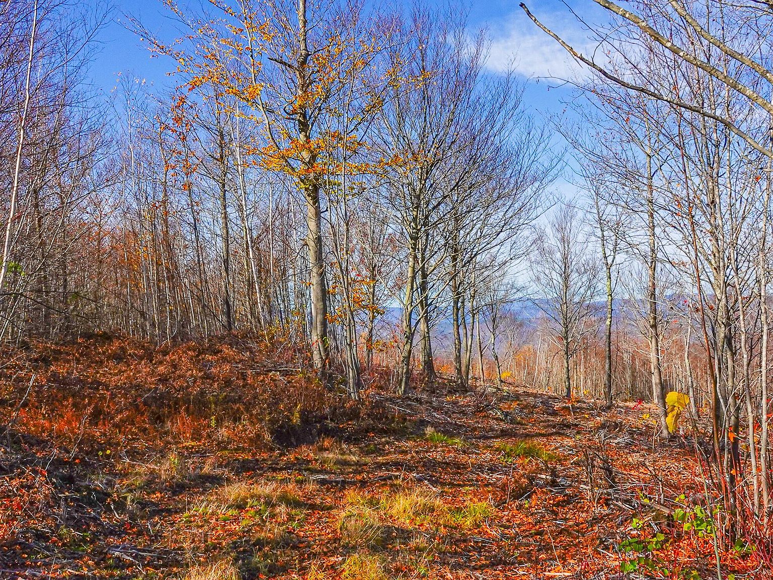 Lot 5 Mine Road Lot 95, Stoneham, ME 04231 MLS 1546906 Zillow