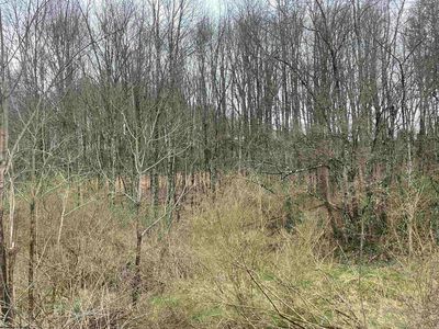 Glassworks Rd, Buckhannon, WV, 26201
