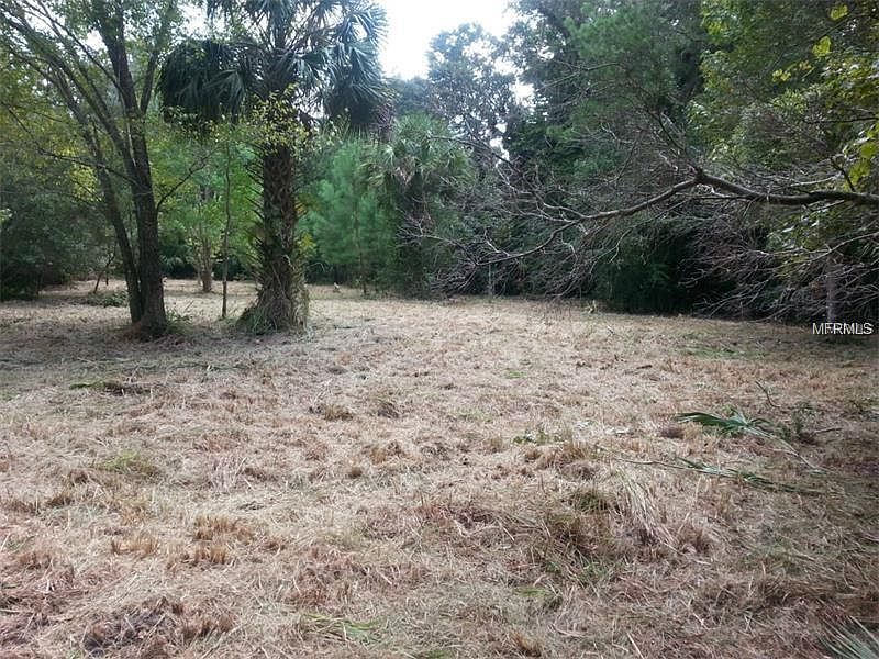 1st image of N Carolina Run