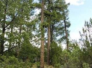 3051 Ponderosa Rd, Overgaard, AZ 85933