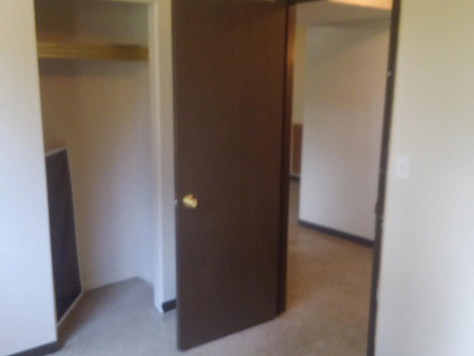 3 bed, 1560 sqft, $2,775 — Photo 3