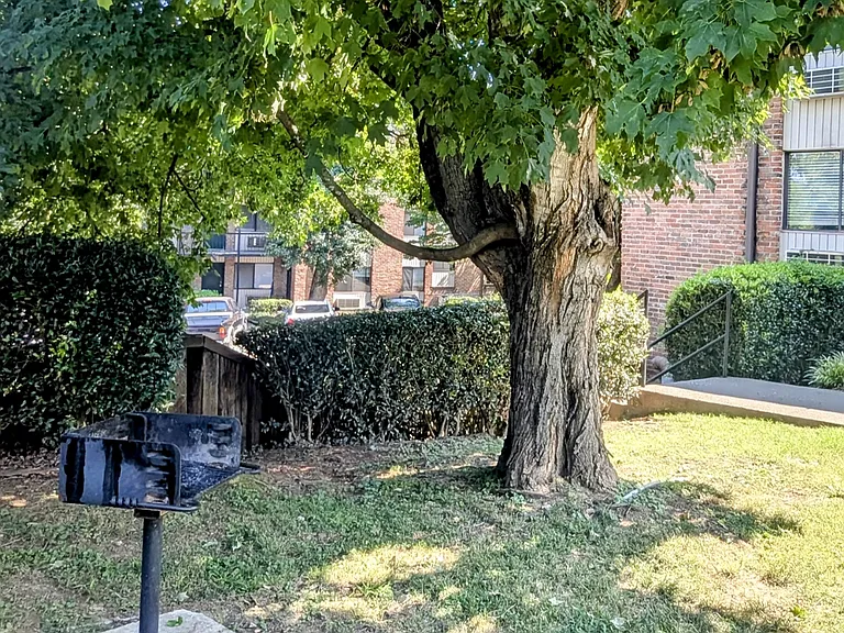 Outdoor Community Grill