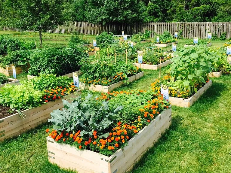 Community Garden
Expected Fall 2027