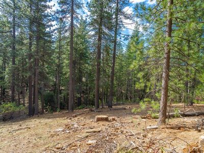 26018 Sunset Ct, Pioneer, CA, 95666