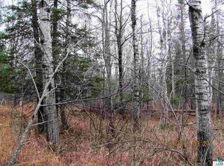 Xxxx Green Rd, Pt Wing, WI 54865