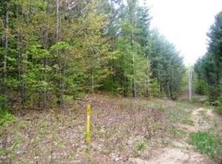 10534 Ravenwood Rd, Mancelona, MI 49659