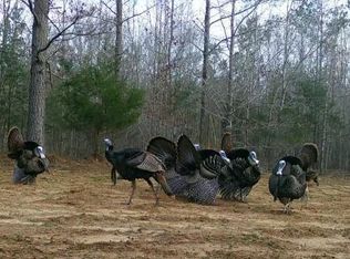 Pleasant Hill Rd, Ashland, MS 38603