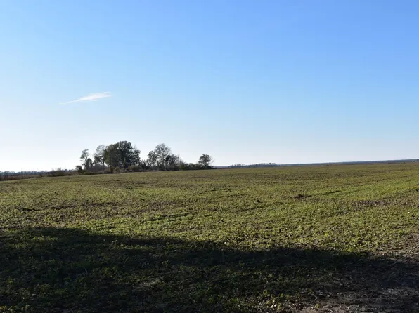 Levee, Crumrod, AR 72328