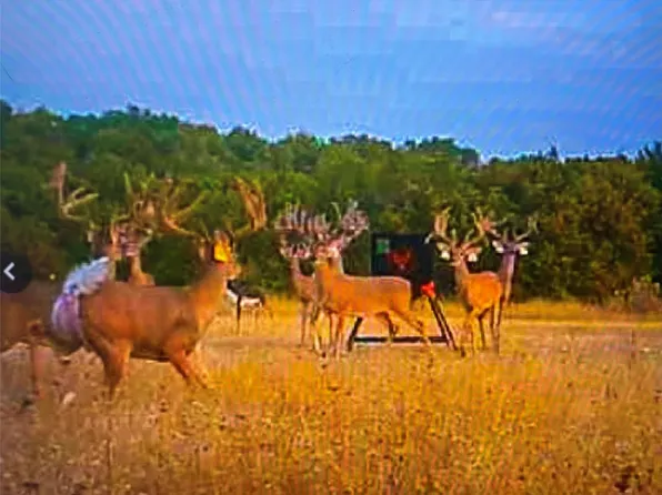 209 Private Road 2120, Meridian, TX 76665