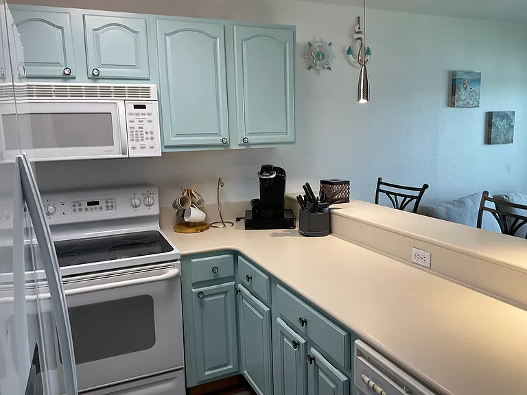 3500 S Peninsula Dr #205 — Photo 8