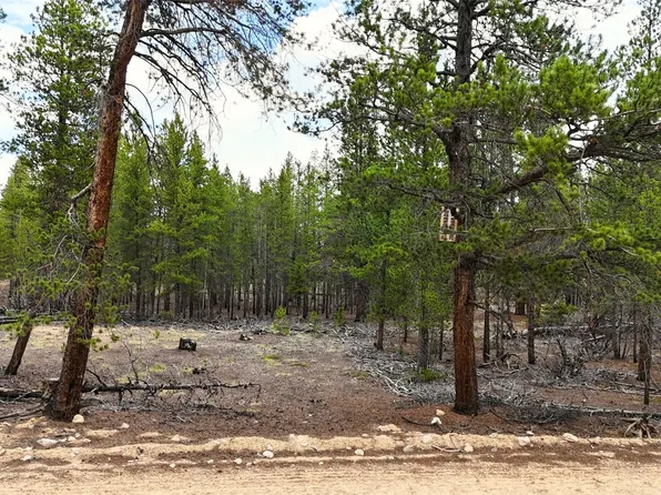 701 Cedar Drive, Leadville, CO 80461