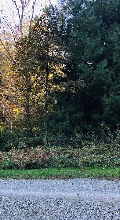 2nd image of TBD Bare Lane