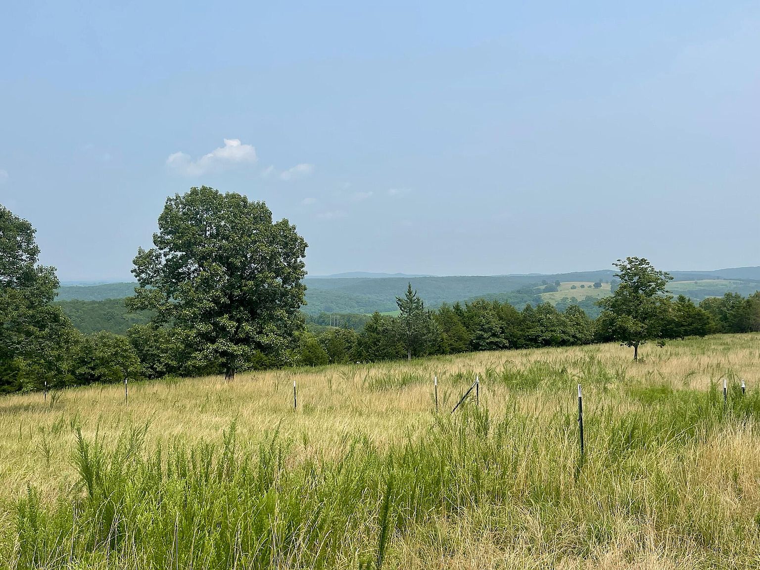 145 County Road 864a, Thornfield, MO 65762 Zillow