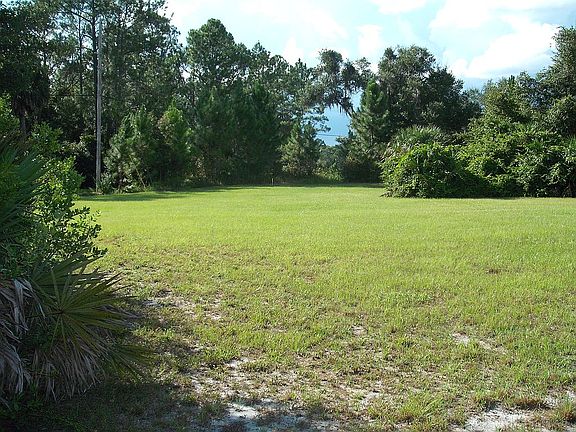Front Clearing Looking NW
