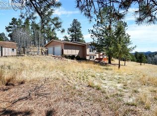 33511 Dotty Rd, Pine, CO 80470