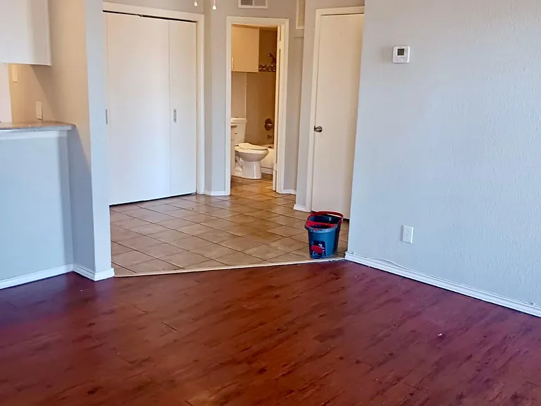 9520 Royal Ln #305A — Photo 3