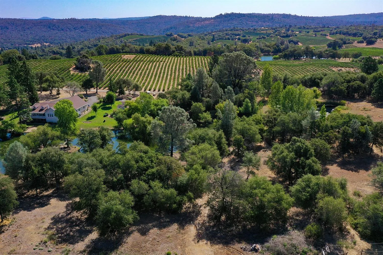 11767 Vineyard Lakes Dr photo 1