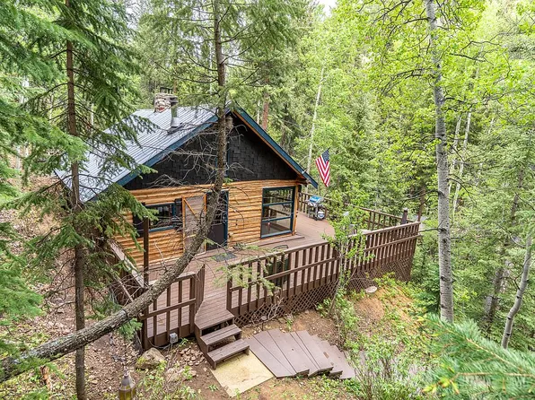 8741 County Road 43, Bailey, CO 80421